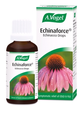 A Vogel - Echinaforce® Echinacea Drops (50ml) - Licensed herbal remedy for supporting the immune system