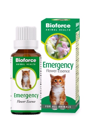A Vogel - Animal Emergency Essence (30ml) - Bach flower remedy for pets