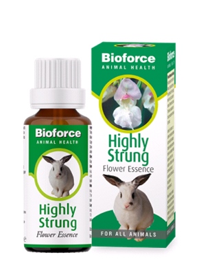 A Vogel - Animal Highly Strung Essence (30ml) - Bach flower remedy for pets