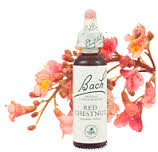 Bach Flower Remedies - Red Chestnut (20ml) - Over-concern for the welfare of loved ones