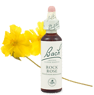 Bach Flower Remedies - Rock Rose (20ml) - Terror and fright in the mind