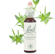 Bach Flower Remedies - Scleranthus (20ml) - Inability to choose between alternatives