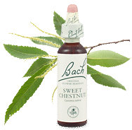 Bach Flower Remedies - Sweet Chestnut (20ml) - Extreme mental anguish, everything has been tried and there is no light left