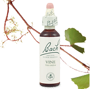 Bach Flower Remedies - Vine (20ml) - Dominance and inflexibility to others