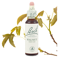 Bach Flower Remedies - Walnut (20ml) - Protection from change and unwanted influences