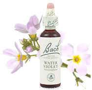 Bach Flower Remedies - Water Violet (20ml) - Pride and aloofness