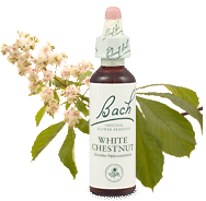 Bach Flower Remedies - White Chestnut (20ml) - Unwanted thoughts and mental arguments to resolve problems