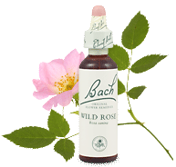 Bach Flower Remedies - Wild Rose (20ml) - Drifting, resignation, apathy & there's no point complaining