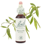 Bach Flower Remedies - Willow (20ml) - Self-pity and resentment of one's life