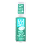 Salt of the Earth Foot Spray (100ml) - Effective natural deodorant for your feet