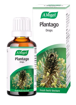 A Vogel - Plantago Drops (50ml) - Helpful for symptoms of congestion, catarrh, ear infections