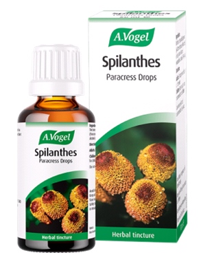 A Vogel - Spilanthes Paracress Drops (50ml)