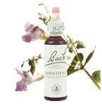 Bach Flower Remedies - Impatiens (20ml) - Frustration and irritability caused by impatience