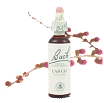 Bach Flower Remedies - Larch (20ml) - Lack of confidence