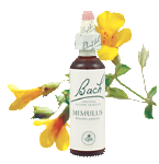 Bach Flower Remedies - Mimulus (20ml) - Fear of known things