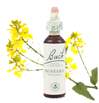 Bach Flower Remedies - Mustard (20ml) - Deep gloom for no reason