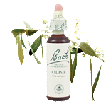 Bach Flower Remedies - Olive (20ml) - Exhaustion following mental or physical effort