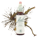 Bach Flower Remedies - Pine (20ml) - Self guilt in mind