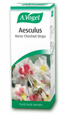 A Vogel - Aesculus Horse Chestnut Drops (50ml) - For varicose veins