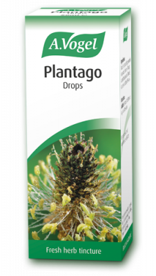 A Vogel - Plantago Drops (50ml) - Helpful for symptoms of congestion, catarrh, ear infections
