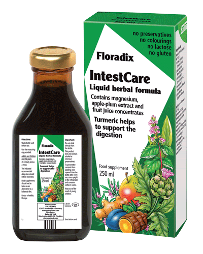 Floradix - Floradix INTESTCARE Liquid Herbal Formula (250ml)