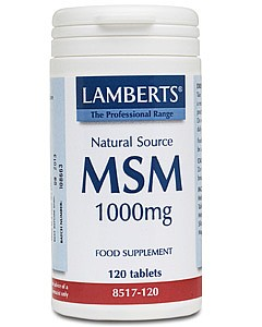LAMBERTS - MSM 1000mg 120 tabs