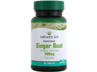 Ginger - 500mg (90 Tabs)