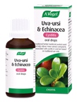 Uva-ursi & Echinacea (50ml) – for cystitis