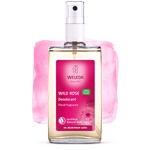 Wild Rose Deodorant (100ml)